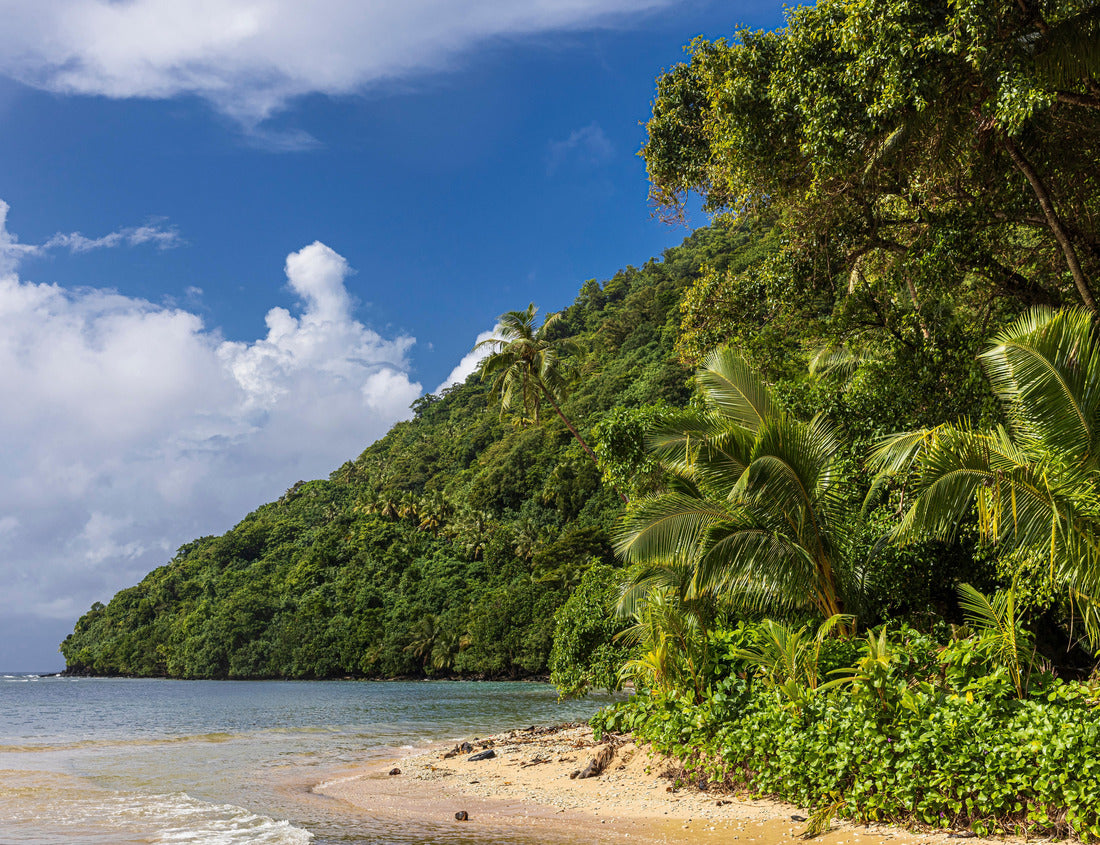 Noah Jigsaw Puzzle Beautiful landscape view of the National Park of American Samoa on Tutuila Island 1000 Pieces