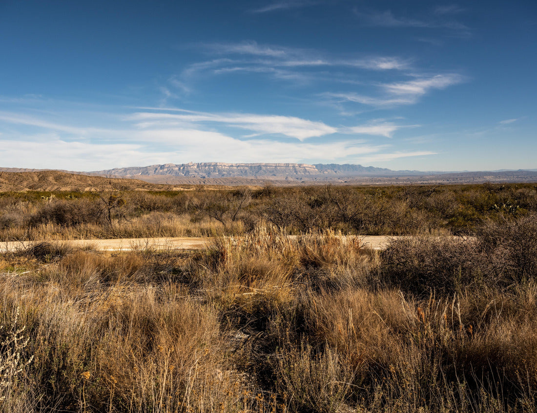 Noah Jigsaw Puzzle Dirt road crossing the desert in Big Bend National Park 1000 Pieces