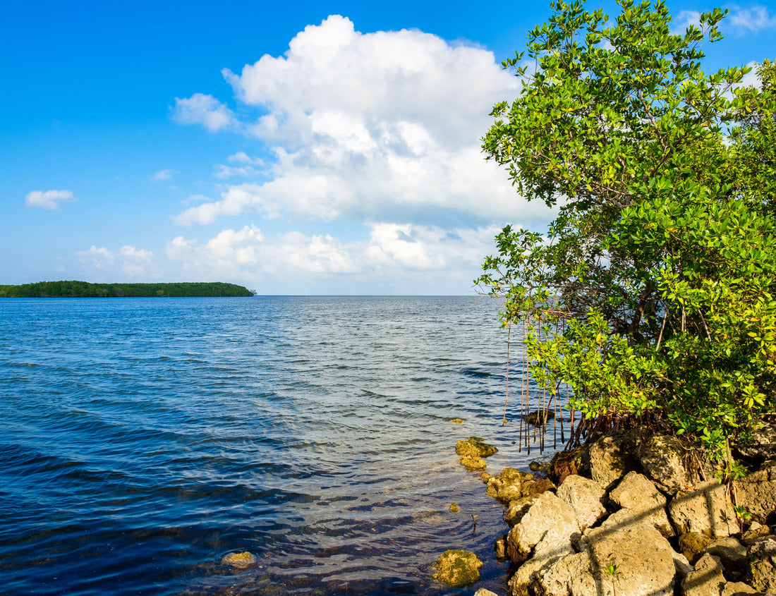 Noah Jigsaw Puzzle Beautiful Biscayne National Park vista from Black Creek Trail 1000 Pieces