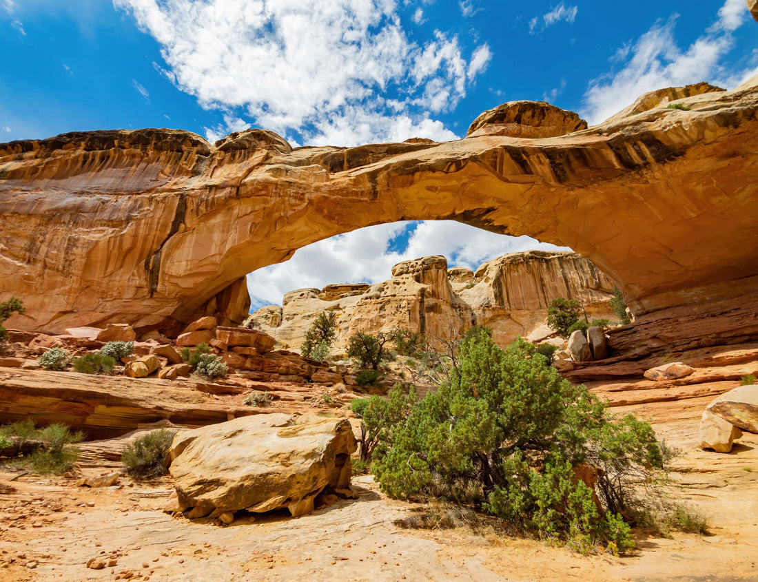 Sunny view of the Hickman Bridge of Capitol Reef National Park at Utah 1000pc Puzzle