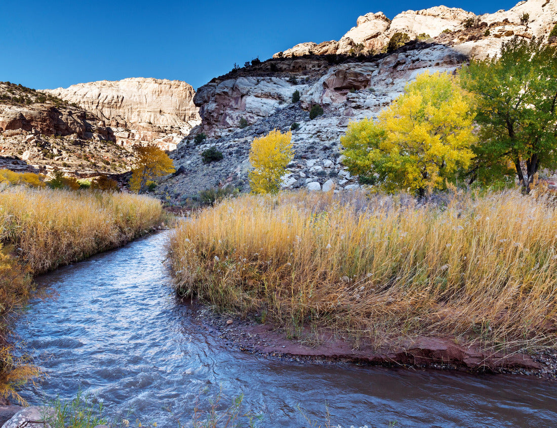 Noah Jigsaw Puzzle Fremont River in Capitol Reef National Park near Torrey, Utah 1000 Pieces