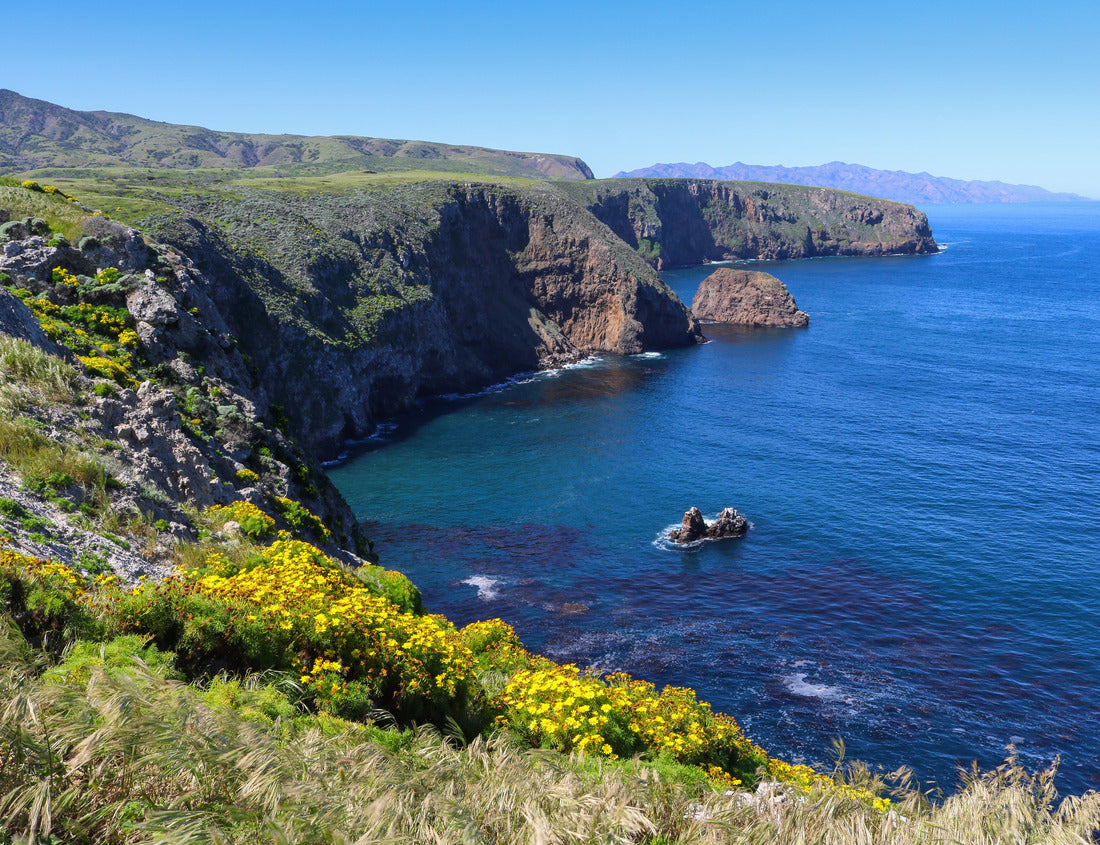 Noah Jigsaw Puzzle Santa Cruz Island, Channel Islands National Park 1000 Pieces