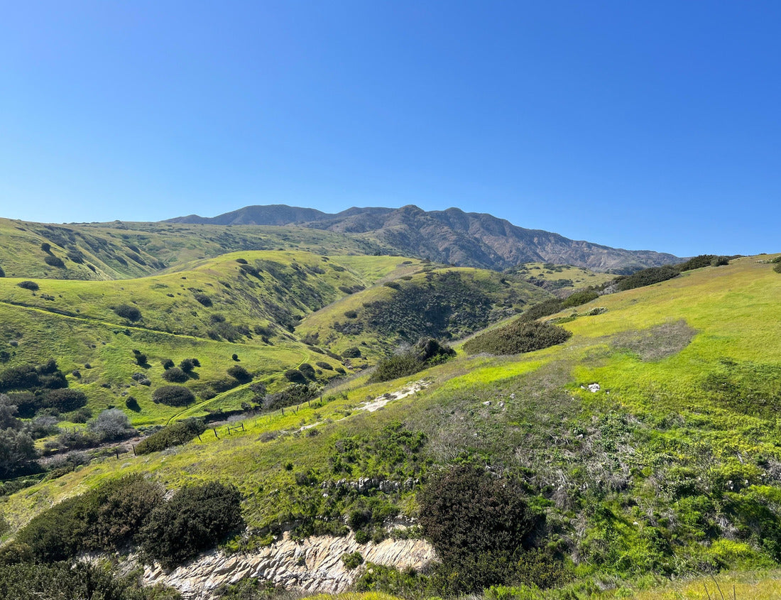 Noah Jigsaw Puzzle Scenic view at Channel Islands National Park 1000 Pieces