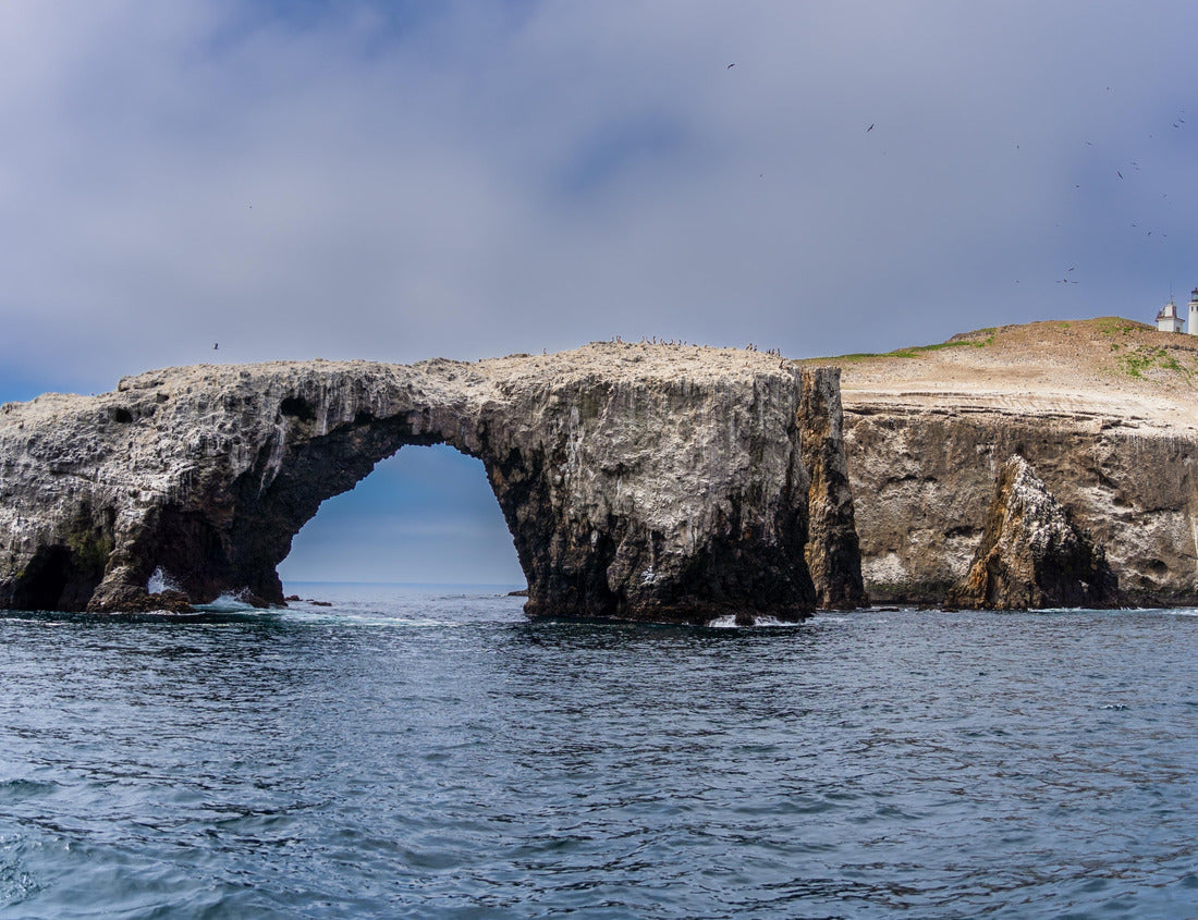Noah Jigsaw Puzzle Anacapa Channel Islands National Park California coast with Arch rock and lighthouse and wildlife reserve and tourist attraction Ventura 1000 Pieces