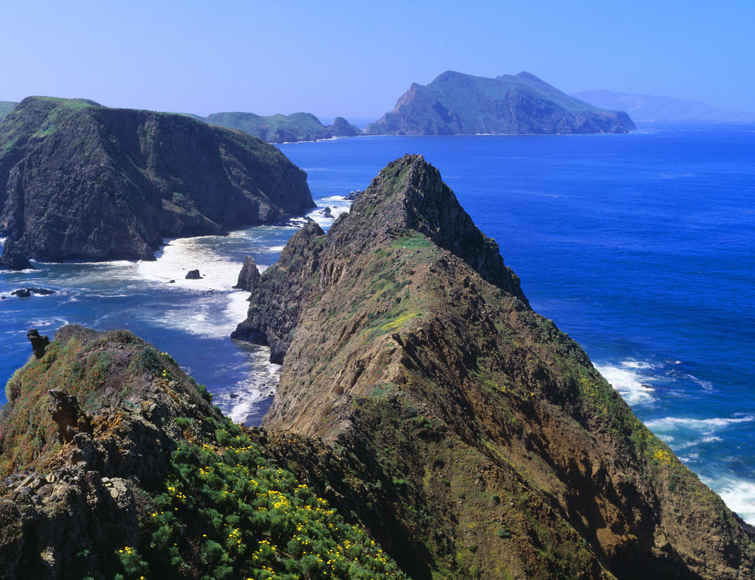 Noah Jigsaw Puzzle Spring at Anacapa Island, Channel Islands National Park, Ventura, California 1000 Pieces