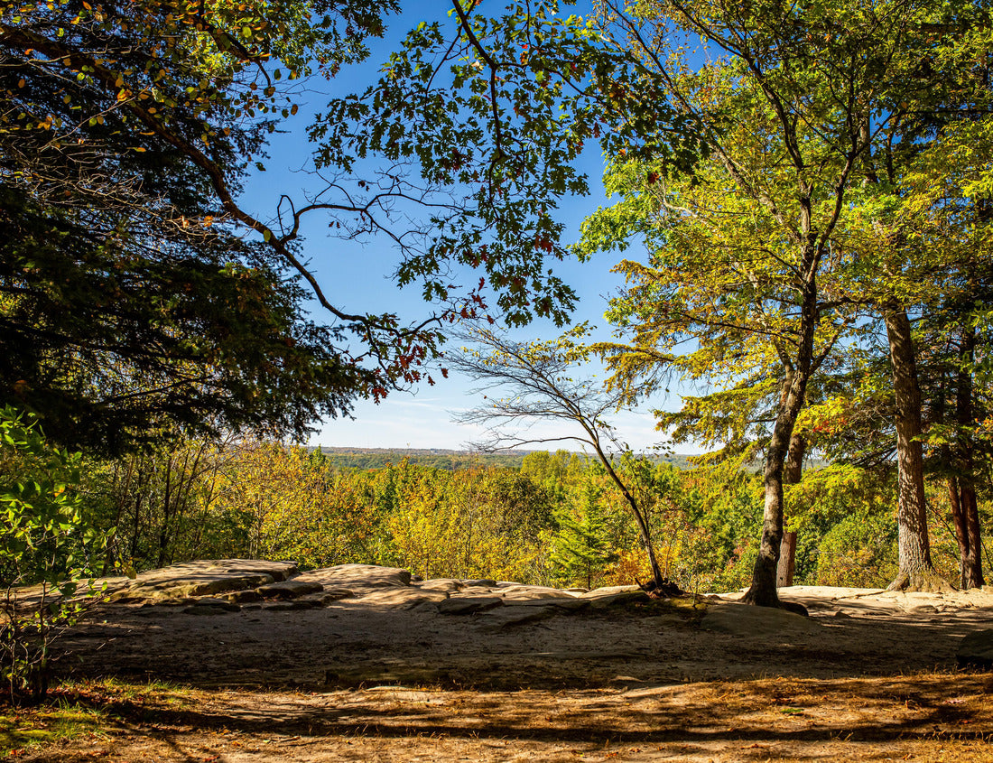 Noah Jigsaw Puzzle The Ledges Trail during Autumn leaf color change at Cuyahoga Valley National Park between Cleveland and Akron, Ohio 1000 Pieces