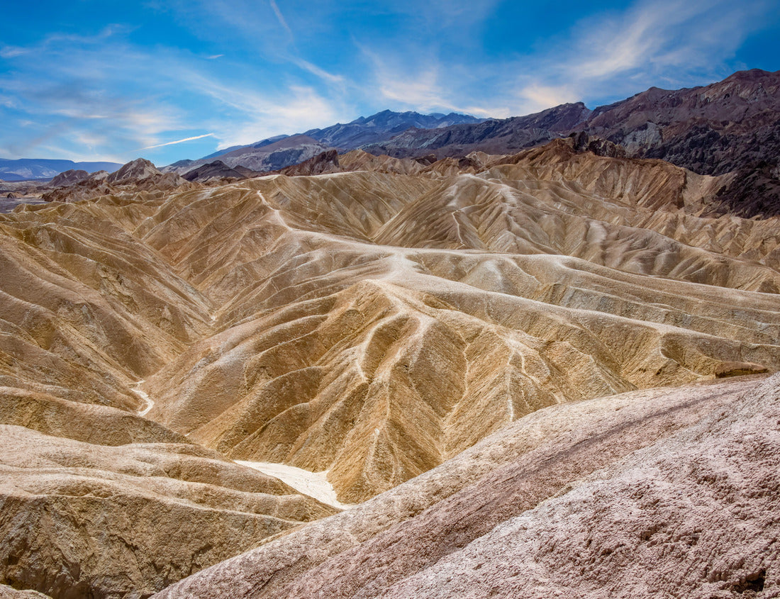 Noah Jigsaw Puzzle Colorful Death Valley National Park in the Spring time 1000 Pieces