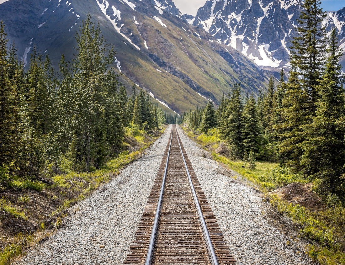 Noah Jigsaw Puzzle Railroad to Denali National Park, Alaska with impressive mountains 1000 Pieces
