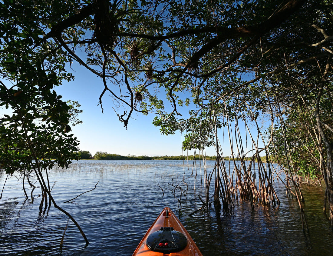 Noah Jigsaw Puzzle Orange kayak on Nine Mile Pond in Everglades National Park, Florida on sunny autumn afternoon amidst reeds and mangroves 1000 Pieces