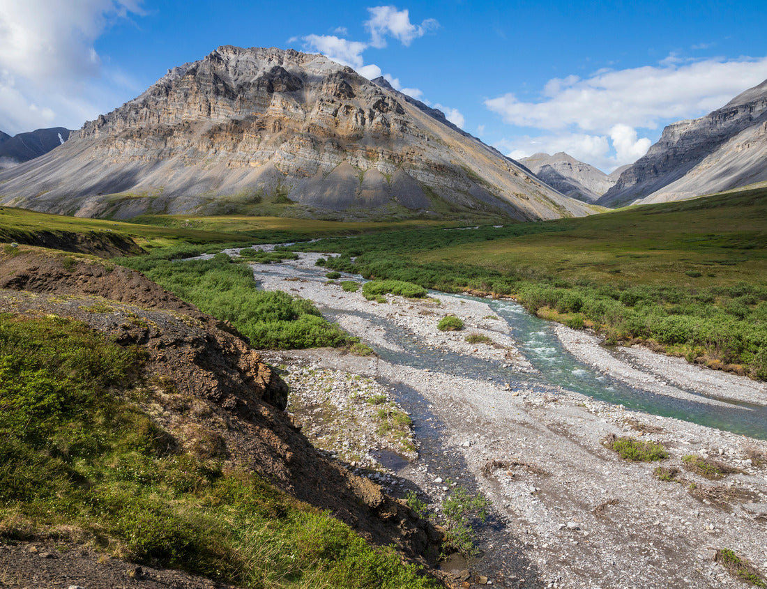 Noah Jigsaw Puzzle A stream flowing in the summer time in Gates of the Arctic National Park (Alaska), the least visited national park in the United States 1000 Pieces