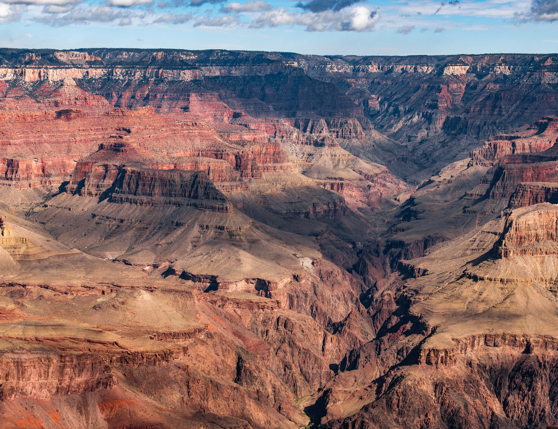 Noah Jigsaw Puzzle Grand Canyon National Park, North Rim, California 1000 Pieces