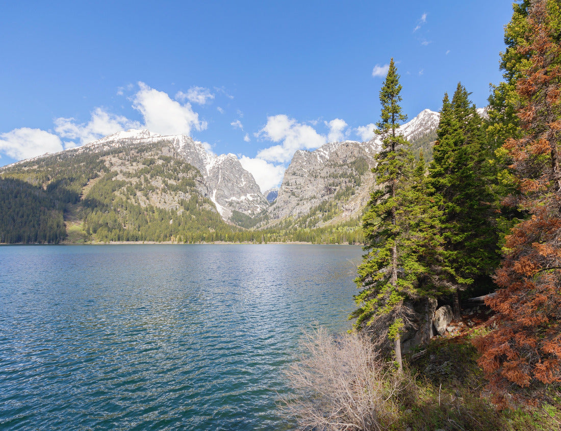 Noah Jigsaw Puzzle Phelps Lake, landscapes, mountains, forests and wild nature of Grand Teton National Park, Wyoming, USA 1000 Pieces