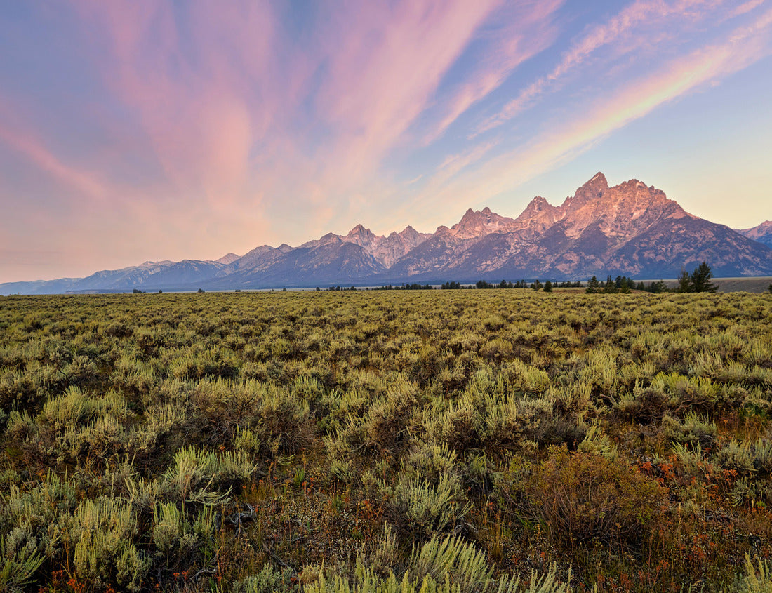 Noah Jigsaw Puzzle Sunrise at the Grand Teton National Park. Wyoming. United States 1000 Pieces