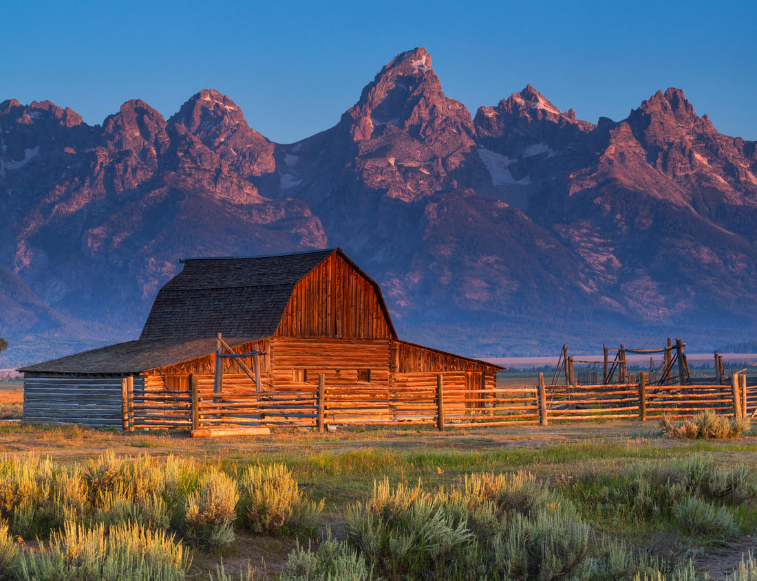 Noah Jigsaw Puzzle Sunrise of historic Moulton Barn in the Grand Teton National Park, Wyoming, USA 1000 Pieces