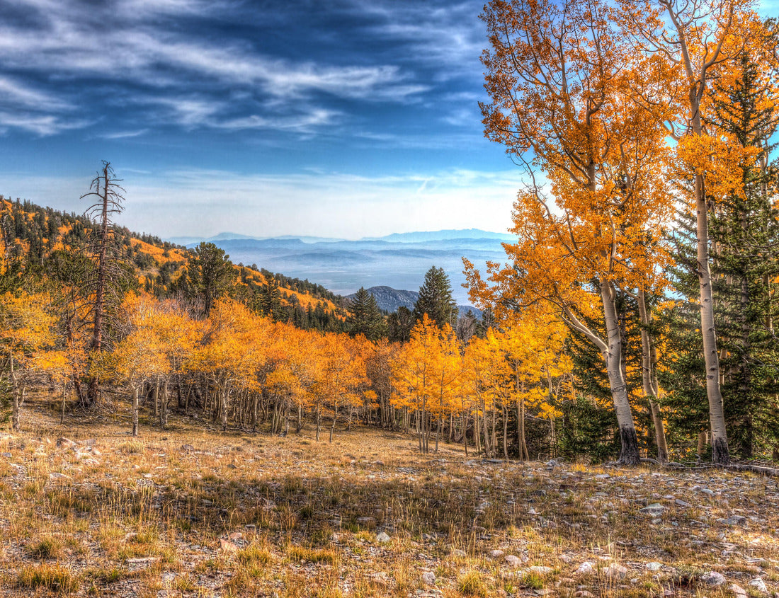Noah Jigsaw Puzzle Nevada-Great Basin National Park-Wheeler Peak Trail 1000 Pieces