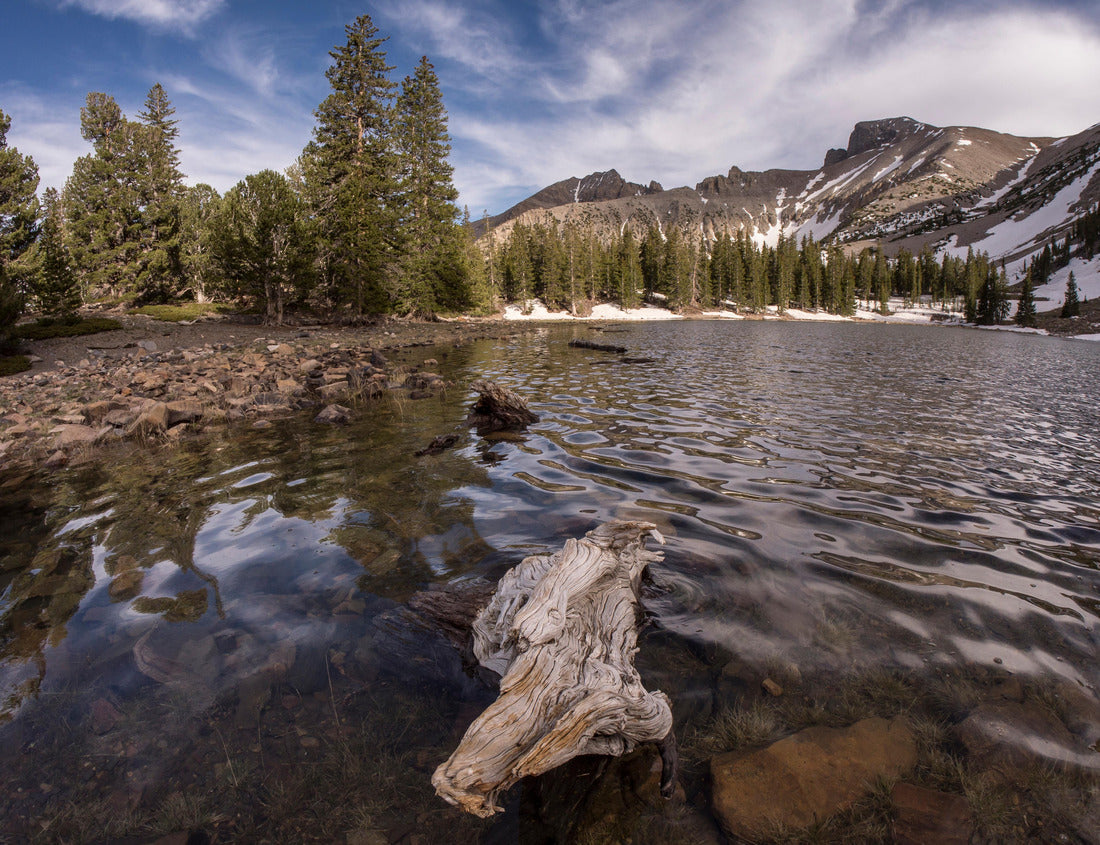 Noah Jigsaw Puzzle Stella Lake, Wheeler Peak, Great Basin National Park at 10,000 feet, past end of Wheeler Peak Scenic Drive, Nevada 1000 Pieces