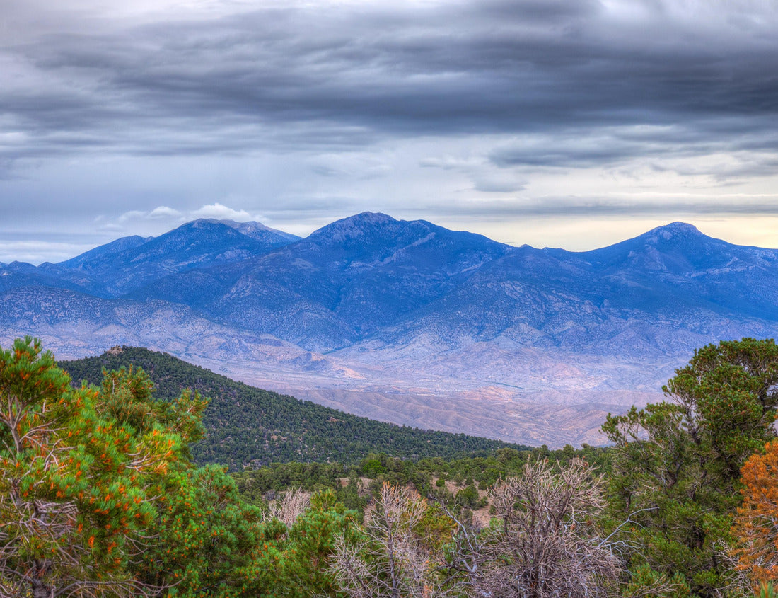 Noah Jigsaw Puzzle Nevada-Great Basin National Park-This is the Osceola Ditch Trail, which leads to the remnants of an 18 mile channel built by gold miners in the 1880's 1000 Pieces