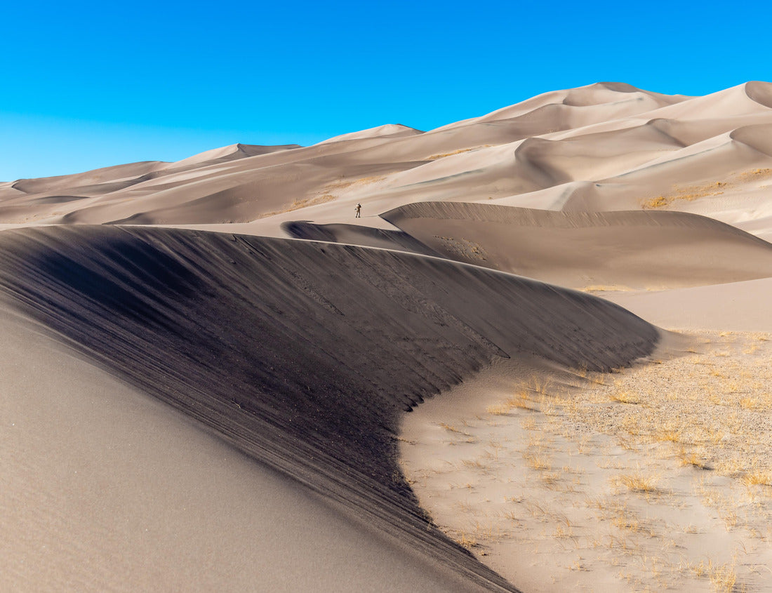 Noah Jigsaw Puzzle Wide view of high sand dunes, Great Sand Dunes National Park, Preserve Colorado, USA 1000 Pieces
