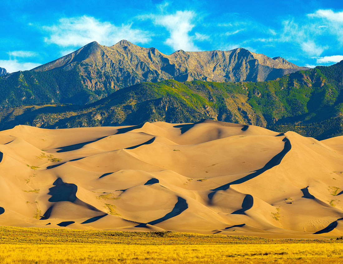 Noah Jigsaw Puzzle Panoramic photopgraph of Great Sand Dunes National Park in Colorado 1000 Pieces