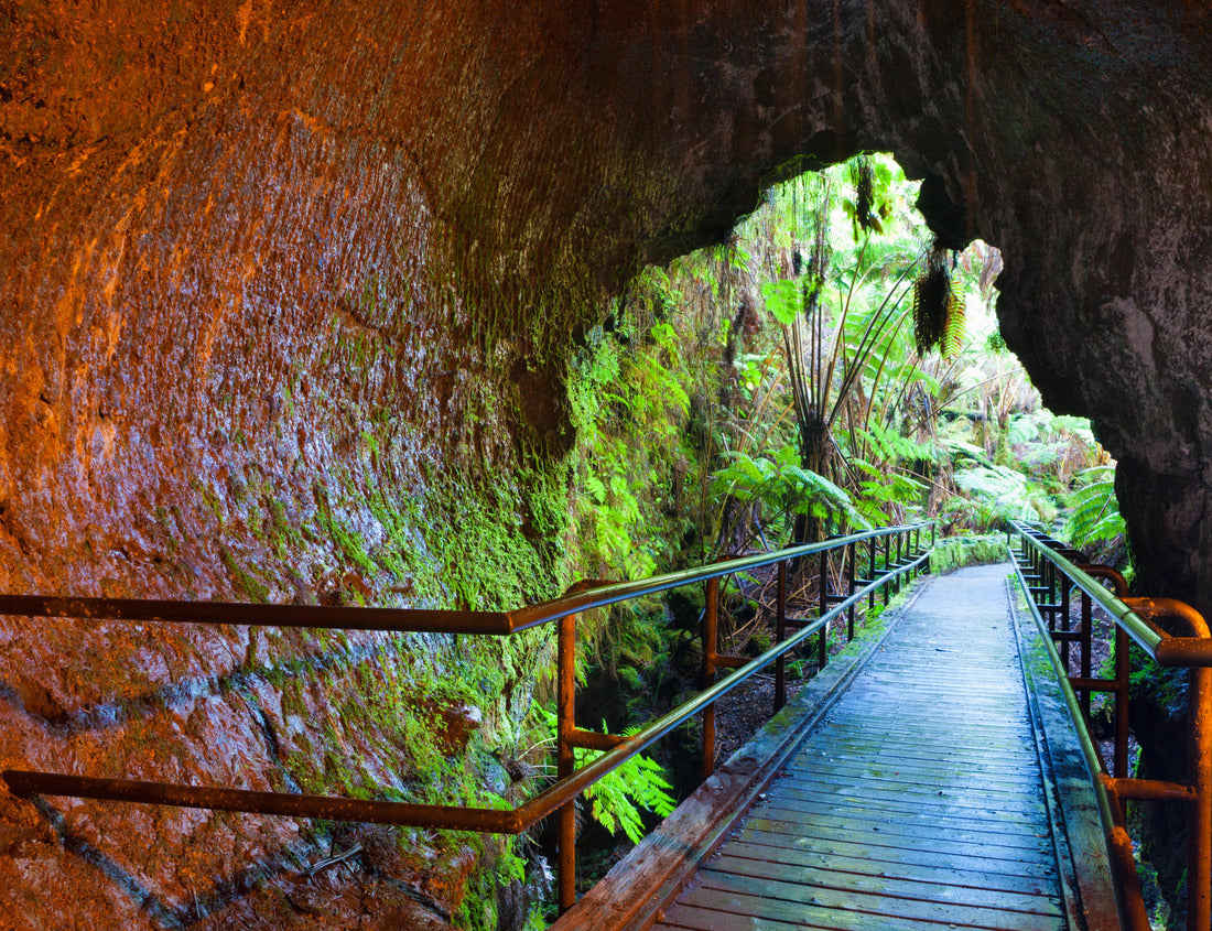 Noah Jigsaw Puzzle Entrance to Thurston Lava Tube in Hawaii Volcanoes National Park 1000 Pieces