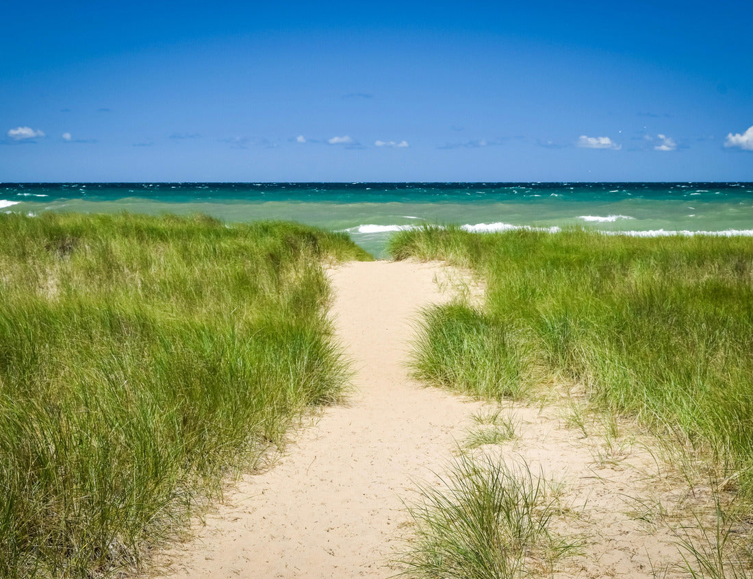 Noah Jigsaw Puzzle Lake Michigan in Indiana Dunes National Park 1000 Pieces