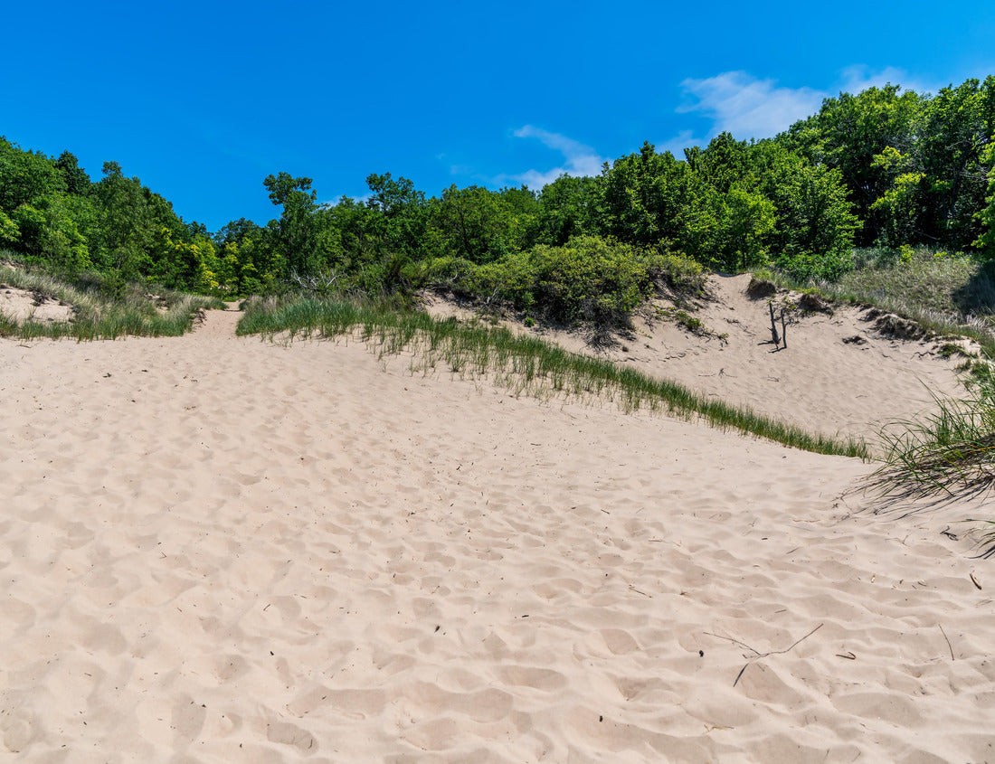 Noah Jigsaw Puzzle Indiana Dunes State Park near Porter, Indiana, USA 1000 Pieces