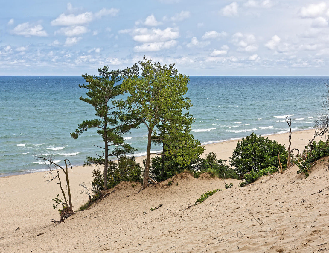 Noah Jigsaw Puzzle Indiana Dunes National Lakeshore is a National Park on Lake Michigan's south shore. The sand dunes make this beach a popular tourist attraction in Indiana, USA 1000 Pieces