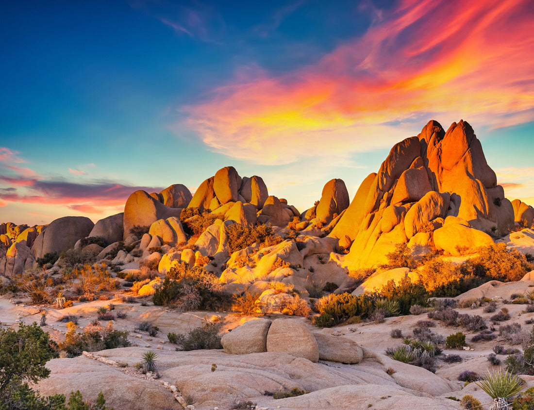 Noah Jigsaw Puzzle Rocks in Joshua Tree National Park illuminated by sunset, Mojave Desert, California 1000 Pieces
