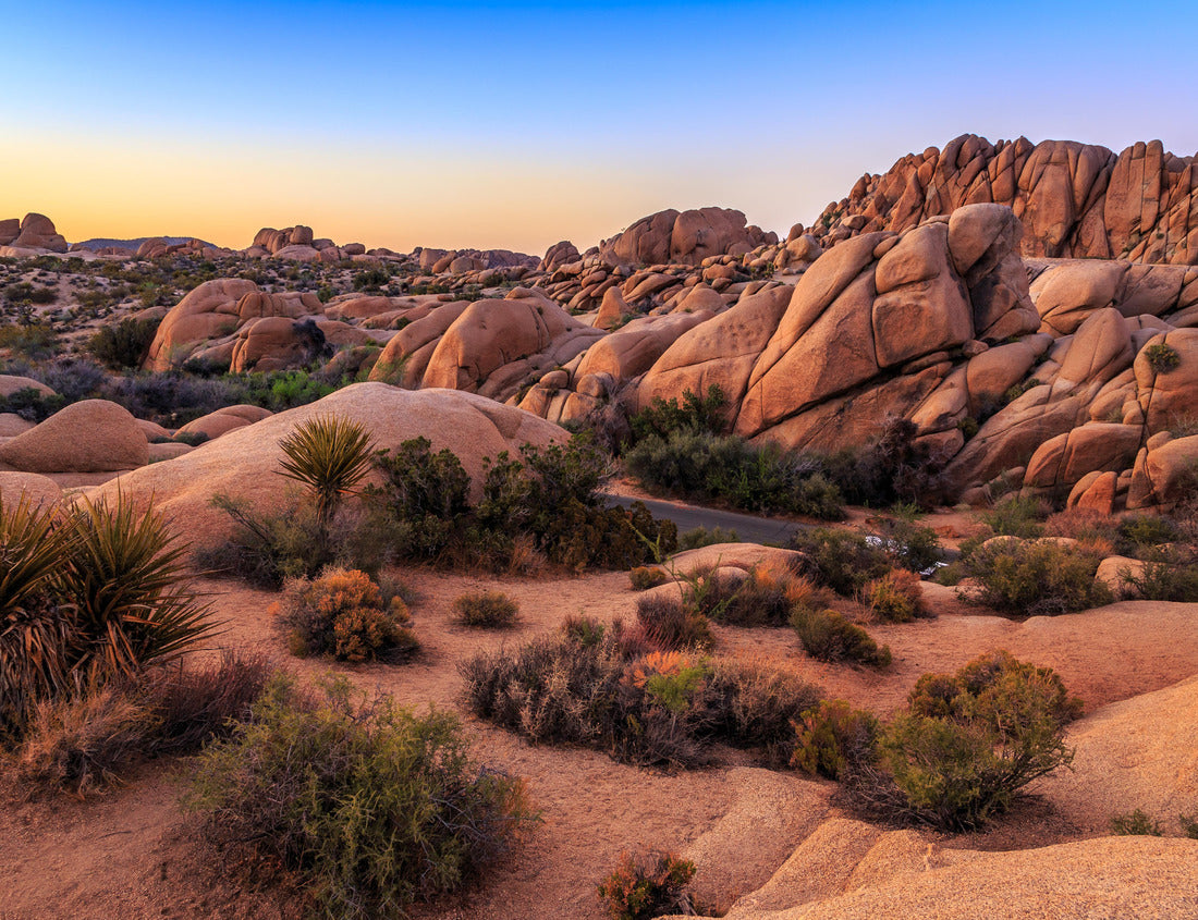 Noah Jigsaw Puzzle Sunset on the Jumbo Rocks, Joshua Tree National Park, California 1000 Pieces