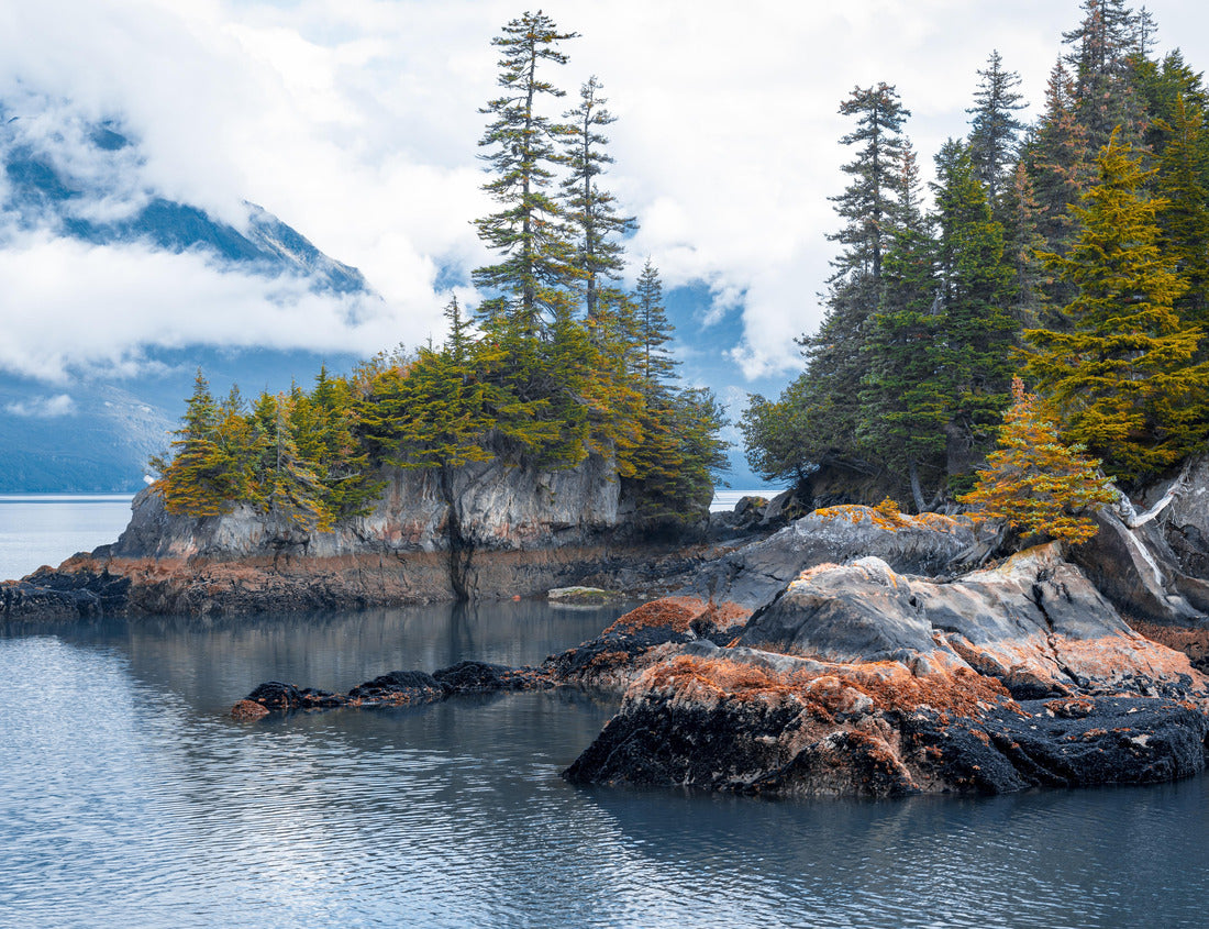 Noah Jigsaw Puzzle View of island from Kenai Fjords National Park Cruise tour in Alaska, USA 1000 Pieces