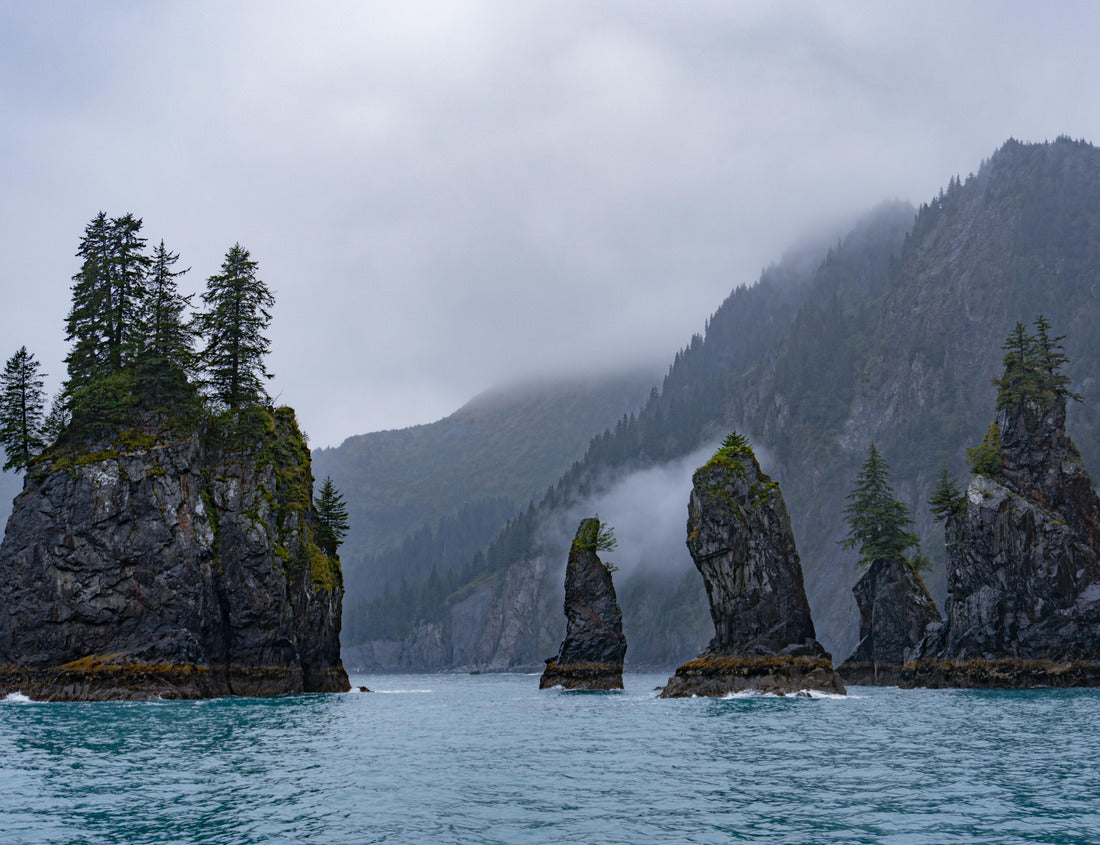 Noah Jigsaw Puzzle Sea Stacks, Kenai Fjords National Park, Alaska 1000 Pieces