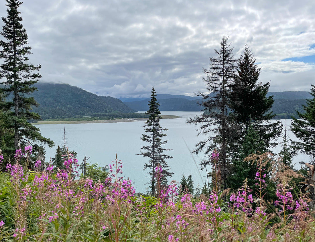 Noah Jigsaw Puzzle hiking in Kenai fjords national park in Alaska 1000 Pieces