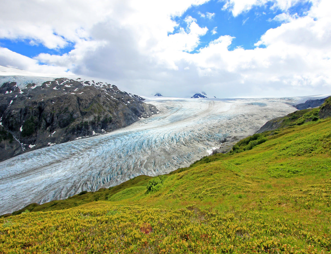 Noah Jigsaw Puzzle Exit Glacier, Harding Ice Field, Kenai Fjords National Park, Alaska, USA 1000 Pieces