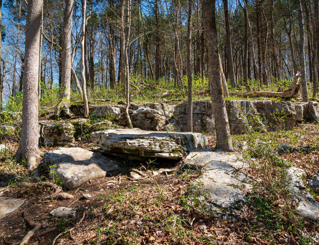 Noah Jigsaw Puzzle Mammoth Cave National Park in Kentucky 1000 Pieces