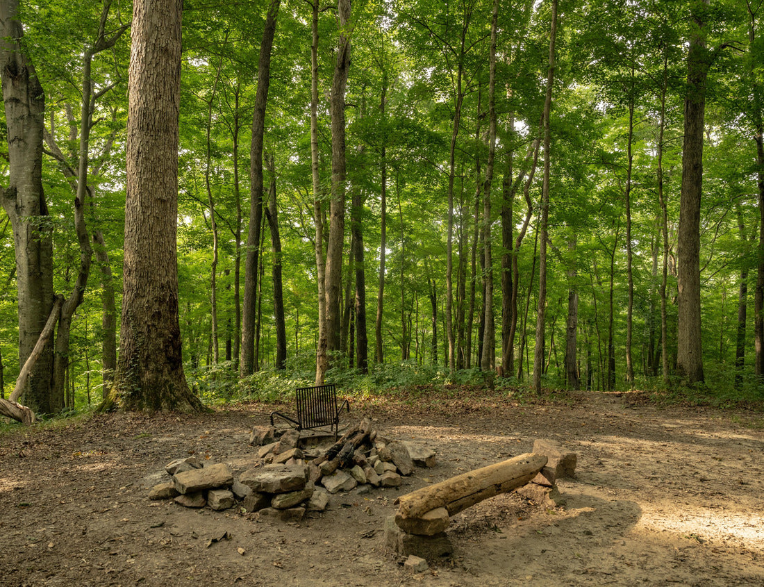 Noah Jigsaw Puzzle Empty Campsite In Mammoth Cave National Park 1000 Pieces