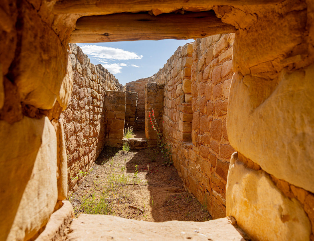 Noah Jigsaw Puzzle Sunny view of the historic Sun Temple in Mesa Verde National Park at Colorado 1000 Pieces