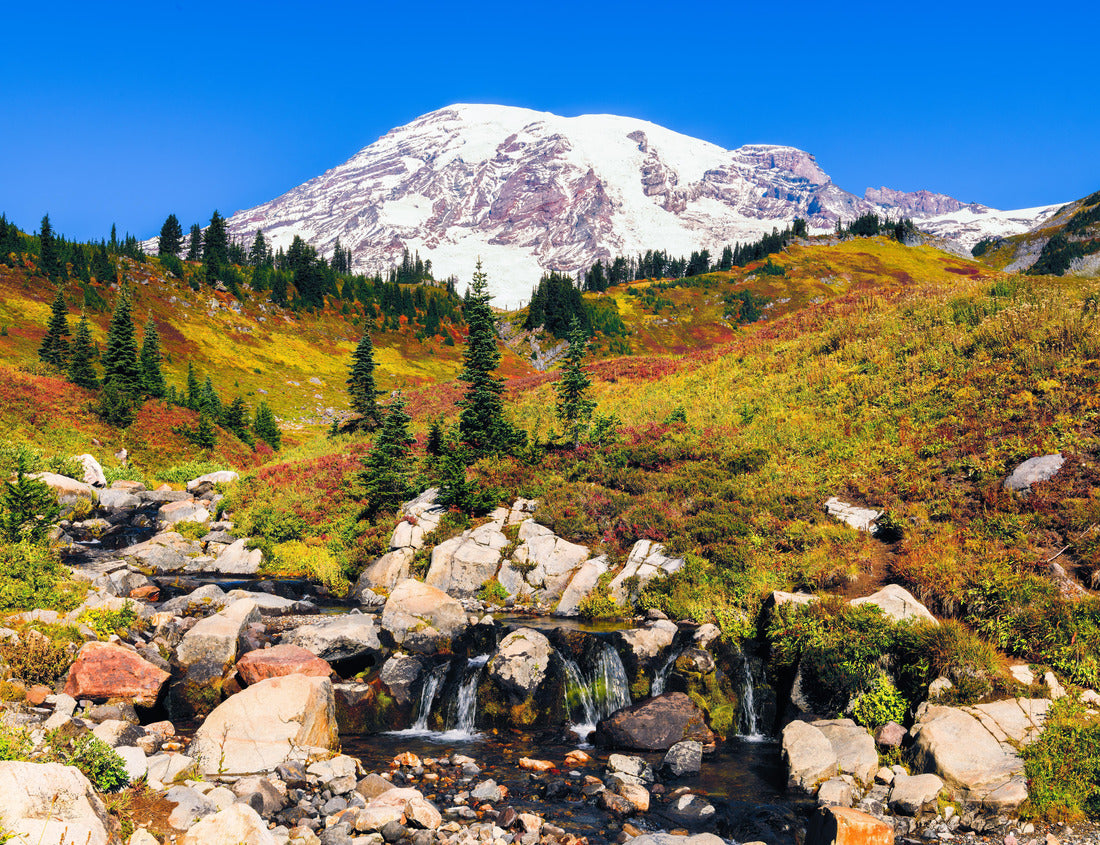 Noah Jigsaw Puzzle Edith Creek in Mount Rainier National Park flows in front of the volcanic peak as fall colors cover the hillside 1000 Pieces