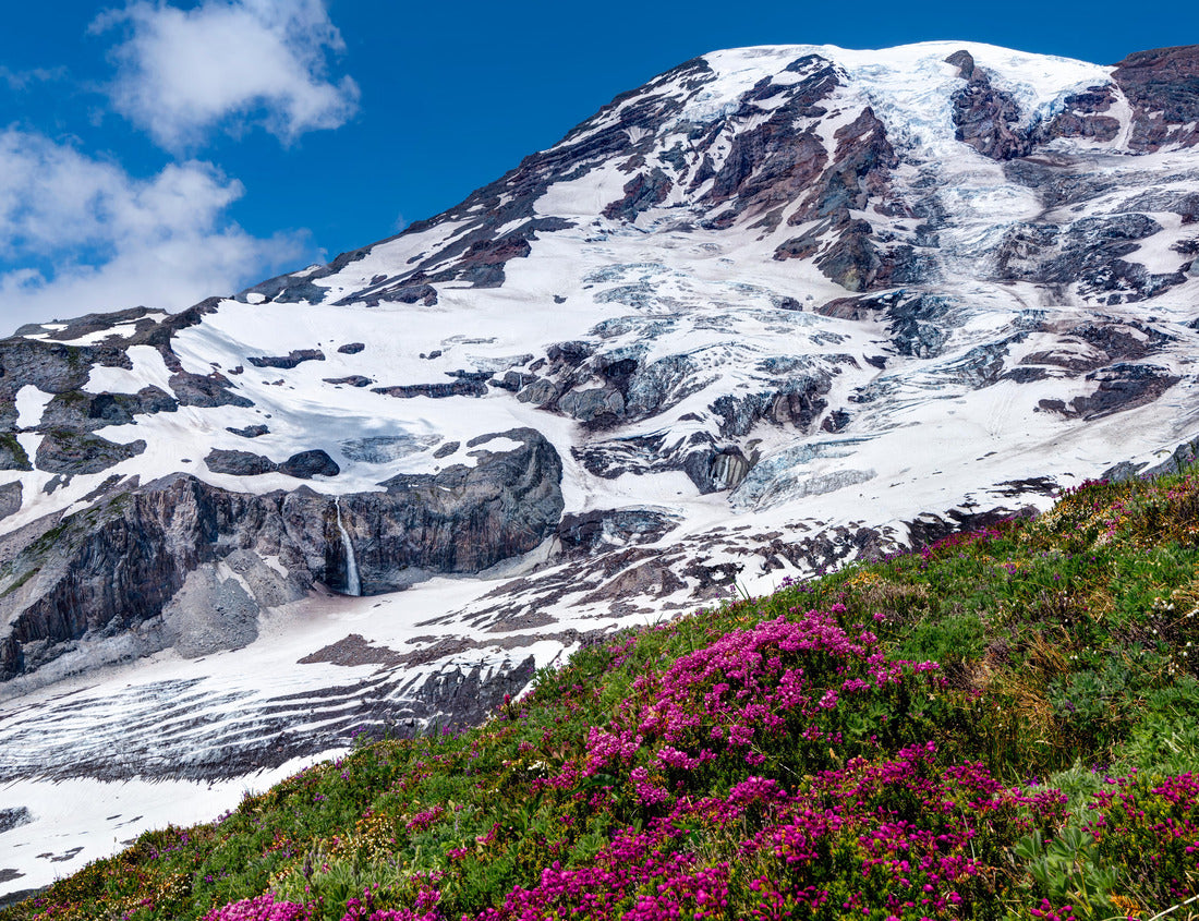Noah Jigsaw Puzzle Skyline Trail, Mount Rainier. Mount Rainier National Park, Washington State, USA 1000 Pieces