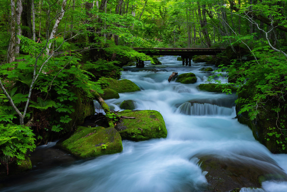 Oirase Stream, Oirase Stream (Oirase Keiryu) is a picturesque mountain stream in Aomori Prefecture, one of Japan's most famous and popular fall color destinations 2000pc Puzzle