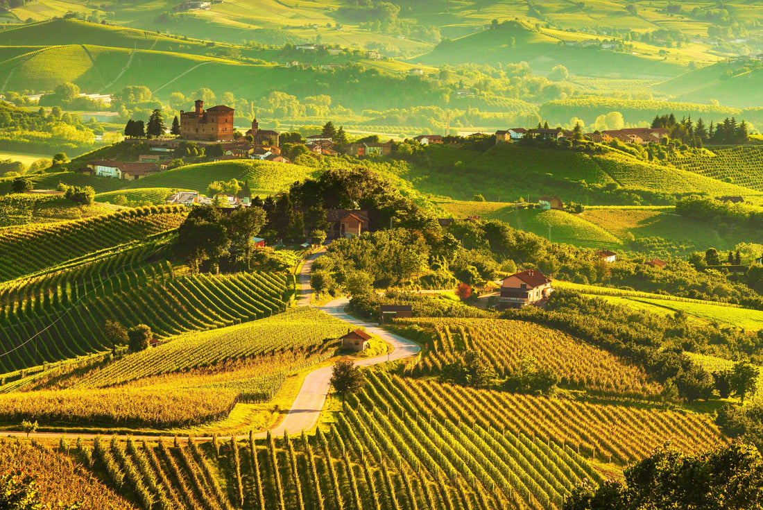 Noah Jigsaw Puzzle Langhe vineyards sunset panorama, Grinzane Cavour, Unesco site, Piedmont, northern Italy 2000 pieces
