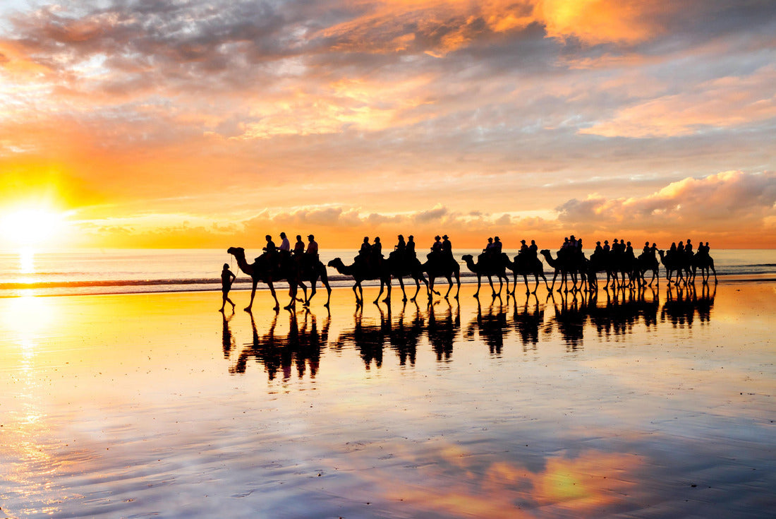 Camels walking along Cable Beach at sunset in the north-west town of Broome, Western Australia, Australia. Camel rides at sunset are a popular tourist activity in Broome 2000pc Puzzle