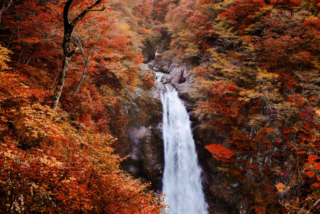 Noah Jigsaw Puzzle Famous Akiu Waterfall in Akiu Osen with vibrant red autumn forest, Sendai - Japan 2000 pieces