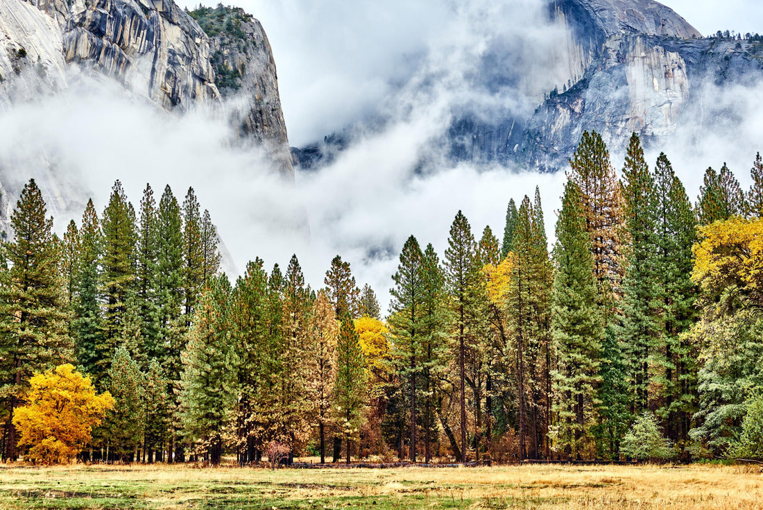Noah Jigsaw Puzzle Yosemite National Park Valley at cloudy autumn morning. Low clouds lay in the valley. California, USA 2000 pieces