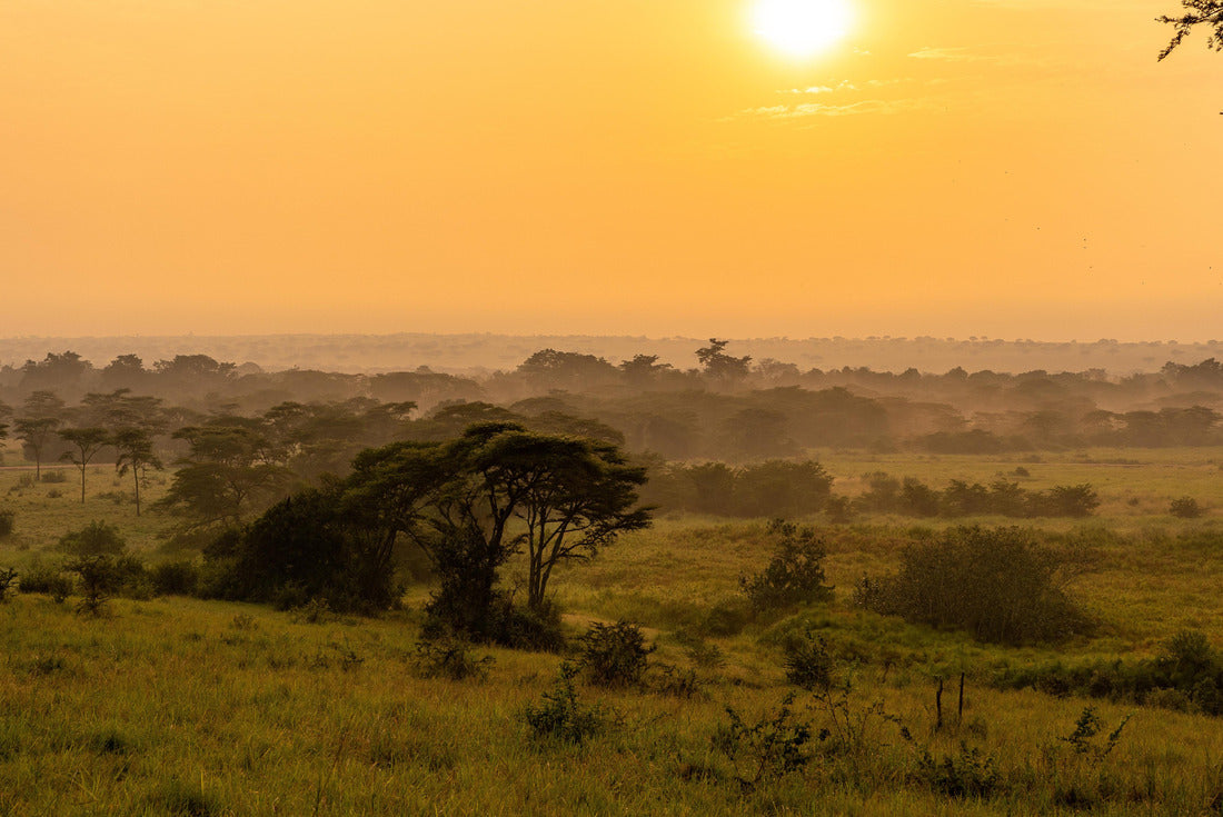 Musytic sunrise in the savannah of Uganda 2000pc Puzzle