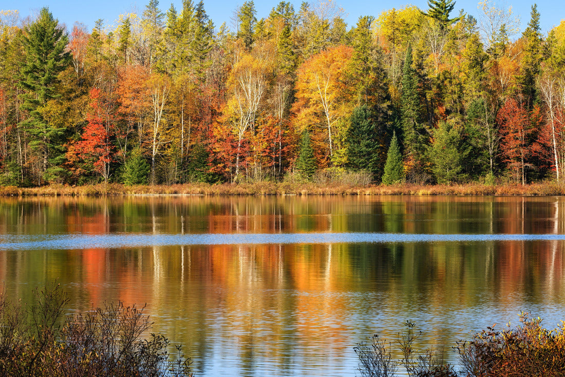 Autumn colors reflected in an upper Michigan lake, Hiawatha National Forest near Munising 2000pc Puzzle