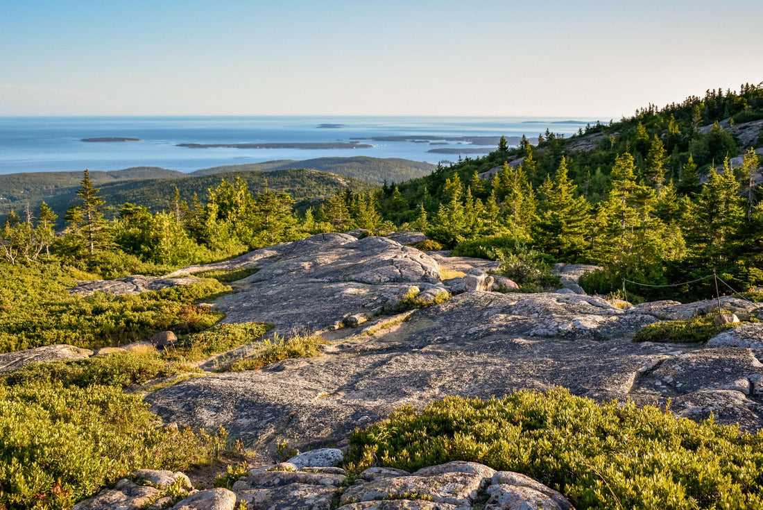 Noah Jigsaw Puzzle Cadillac mountain Acadia National park 2000 pieces