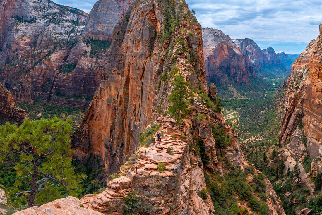 Noah Jigsaw Puzzle Panoramic of the Zion Canyon seen from the Angels Landing Trail high up in the mountain in Zion National Park, Utah. United States 2000 pieces