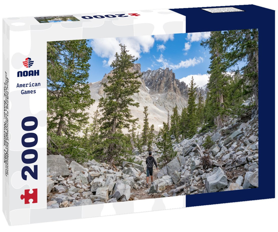 Boy hiking in ancient bristlecone pine forest in Great Basin National Park, Baker, Nevada, USA 2000pc Puzzle