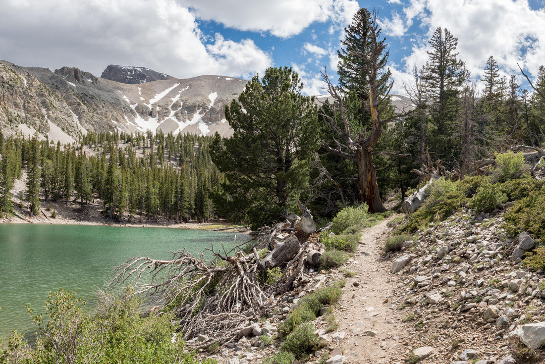 Noah Jigsaw Puzzle Theresa Lake, alpine lake in Great Basin National Park, Baker, Nevada, USA 2000 pieces