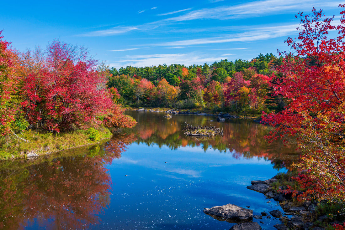 Ellsworth, Maine, during autumn leaves 2000pc Puzzle